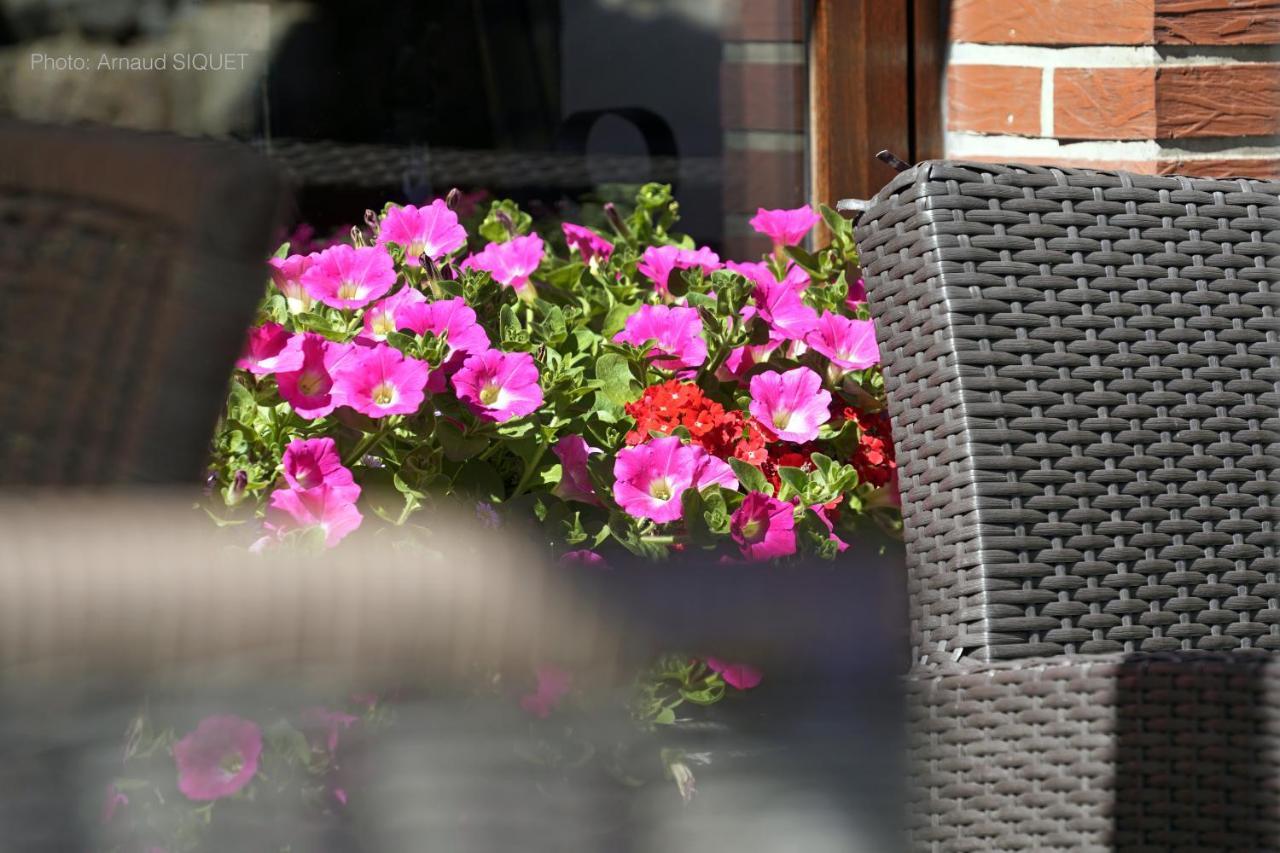 Bed and Breakfast Ferme St Martin Manhay Zewnętrze zdjęcie
